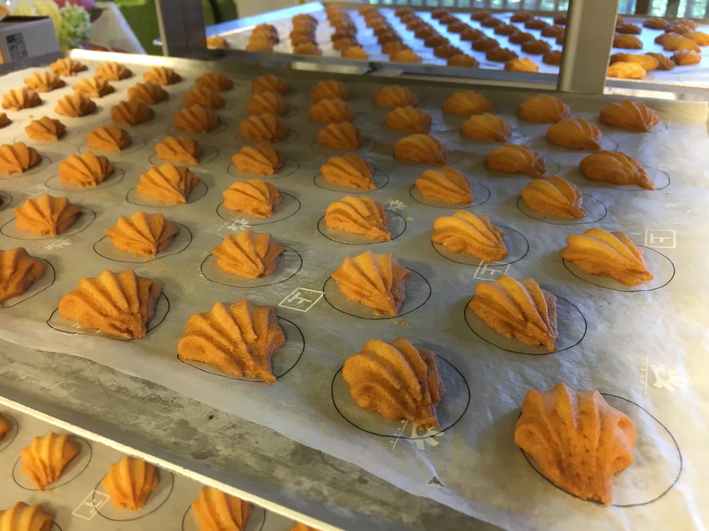 少しだけお見せします 17 09 09 Patisserie Sawada パティスリーサワダ 澤田屋 福島市 飯坂 お菓子 ケーキ お土産 ギフト 少しだけお見せします 17 09 09 Patisserie Sawada パティスリーサワダ 澤田屋 福島市 飯坂 お菓子 ケーキ お土産 ギフト