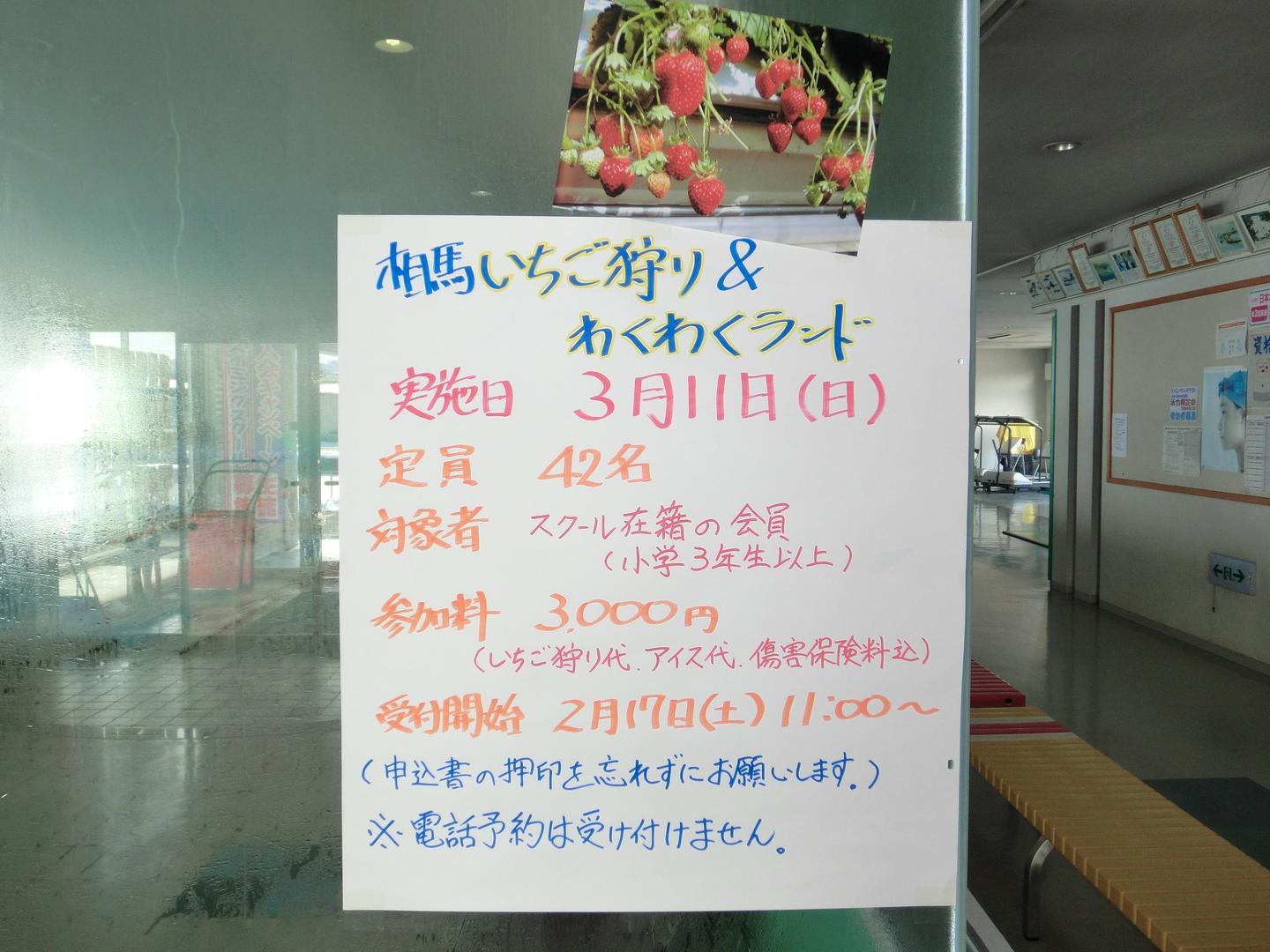 相馬いちご狩り 今年も行きます 18 02 03 伊達市 福島市の各種スクール 学習塾 福島スイミングスクールほばら 福島市 伊達市 保原 水泳 教室 求人 インストラクター 相馬いちご狩り 今年も行きます 18 02 03 伊達市 福島市の各種スクール 学習塾 福島スイミングスクールほばら 福島市 伊達市 保原 水泳 教室 求人 インストラクター