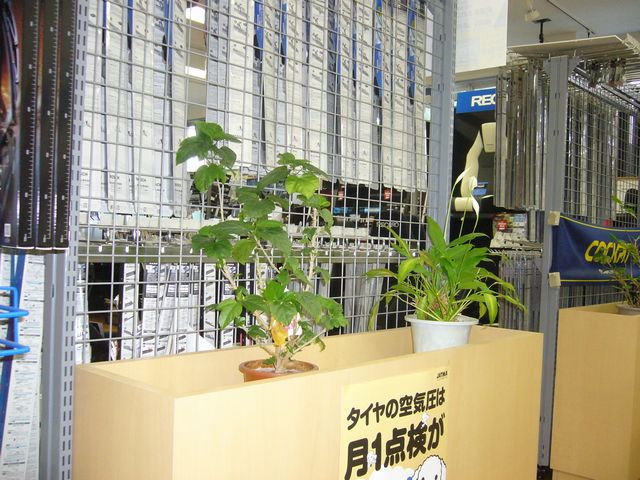 福島市で車のことならコクピット西部