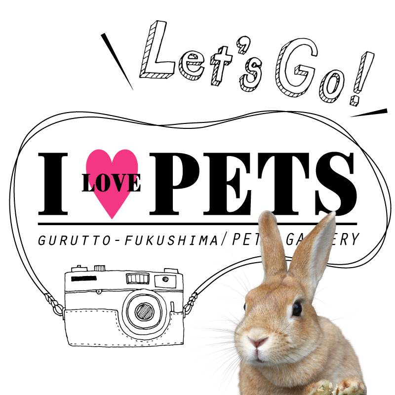 ペットギャラリーへGO！