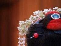 江戸屋敷 恋する出目金|公式HP・福島市・居酒屋・個室・駅チカ