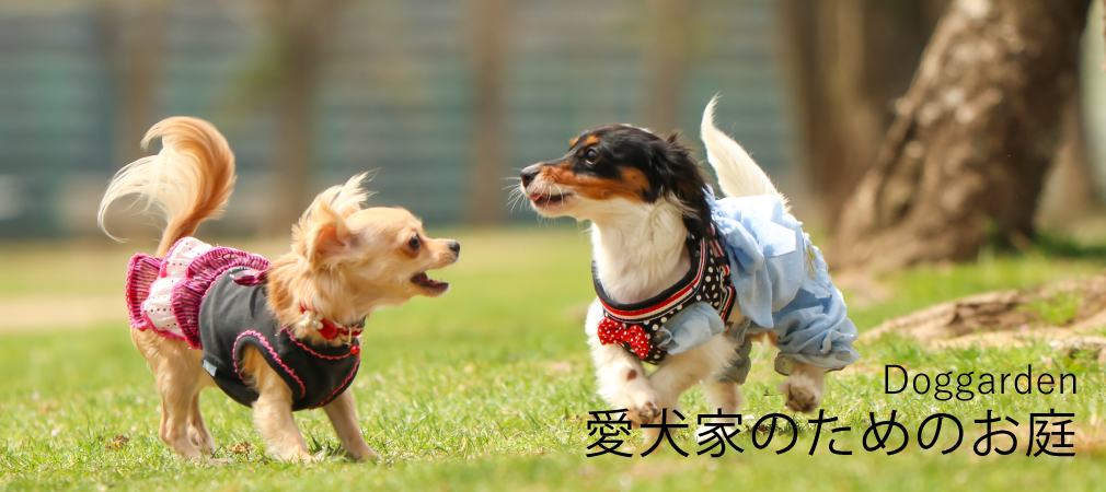 ドッグガーデン