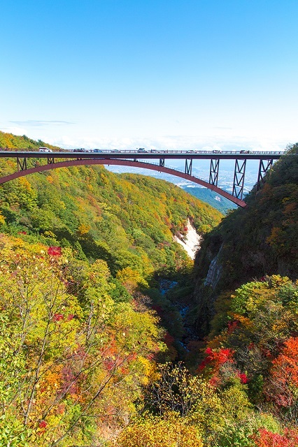 ゆったり足湯＆紅葉スカイラインドライブコース