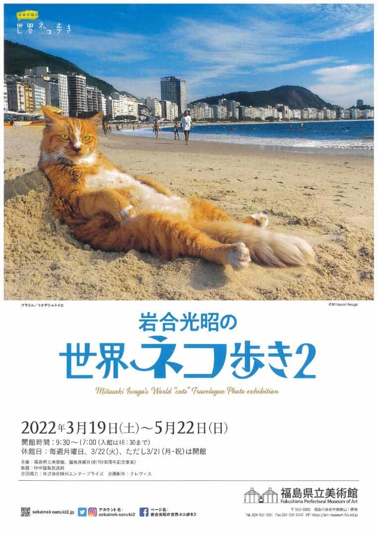 岩合光昭の世界ネコ歩き2｜イベント掲示板｜福島県北最大級