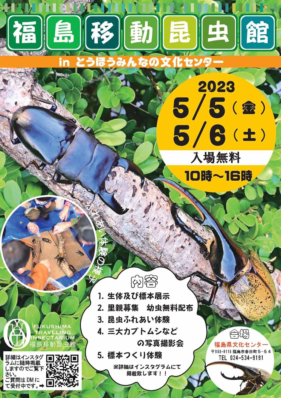 Amazon.co.jp: 歴史の道、福島県、街道、福島県教育委員会、郷土