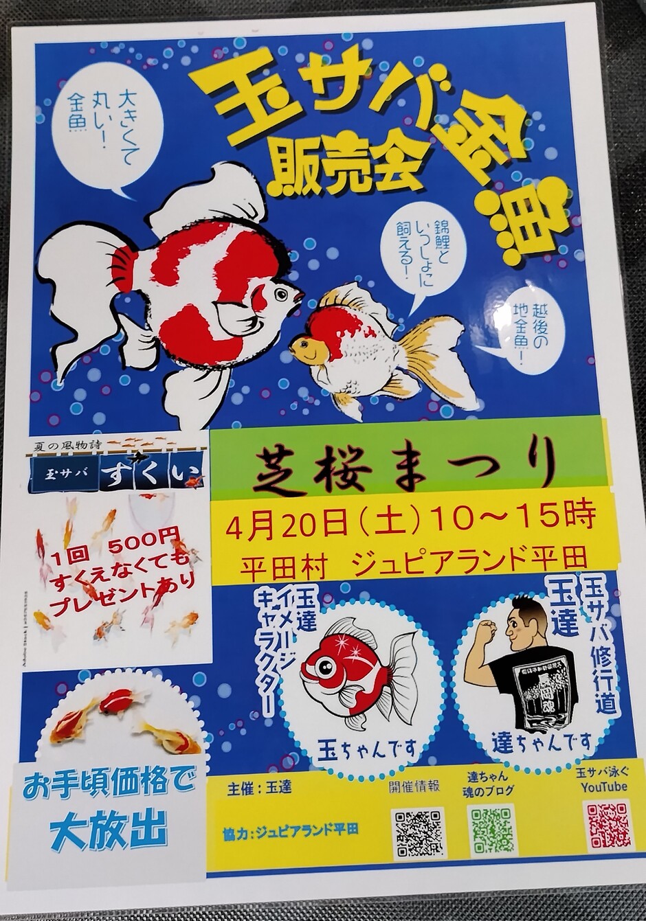 【中古】 玉勝間〔玉の小節・花月草紙〕新解/新塔社/佐津川修二 玉勝間〔玉の小節・花月草紙〕新解 (要所研究シリーズ) | 佐津川