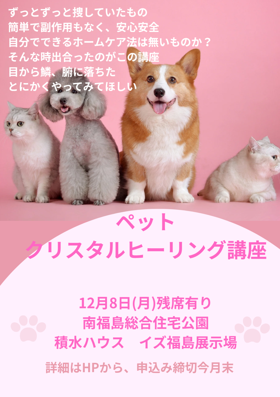 ペットクリスタルヒーリング講座｜イベント掲示板｜福島県北最大級