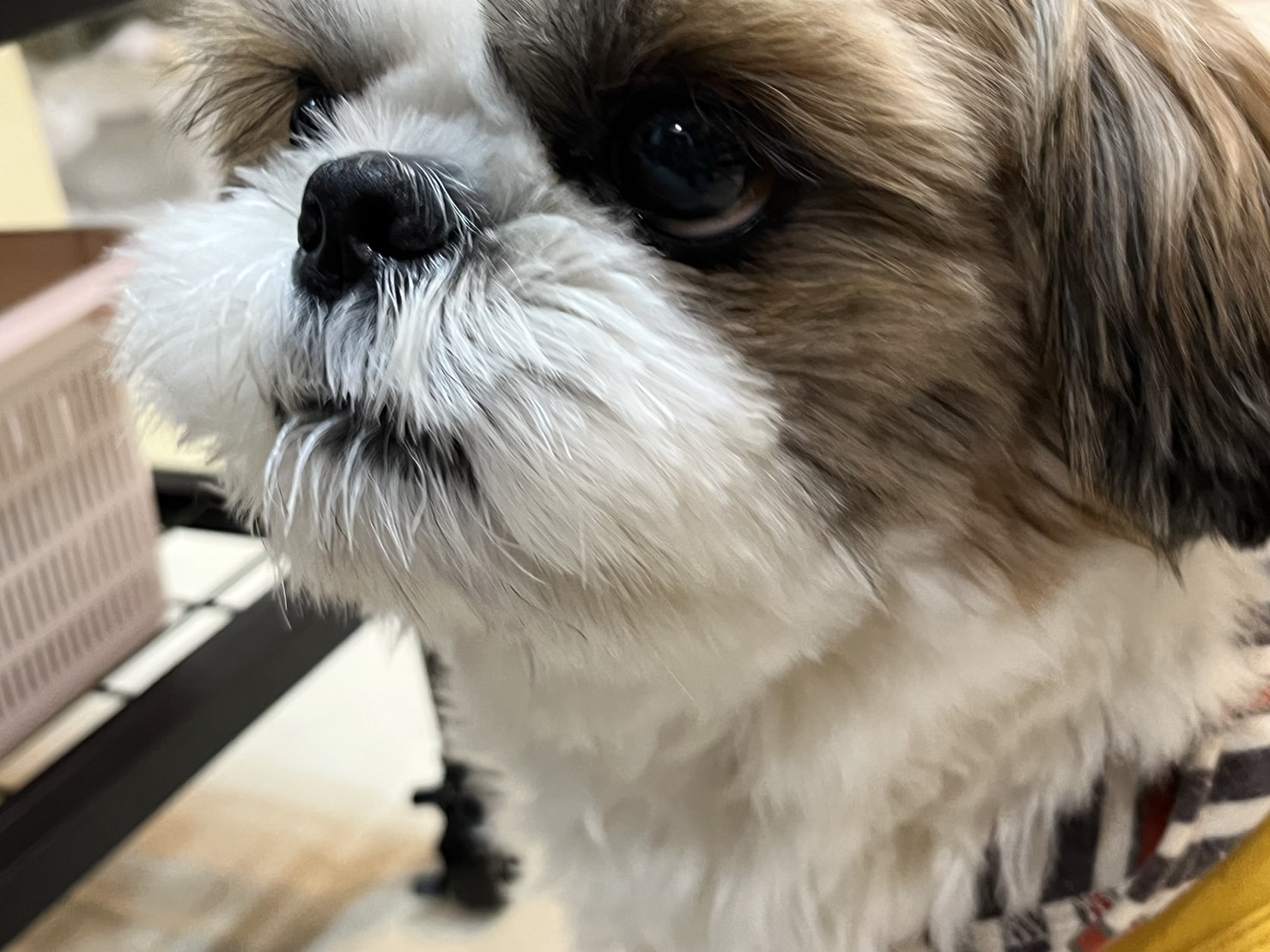 福島で人気の【卯羅那石】ってどんなお店？ 徹底解明レポ♪