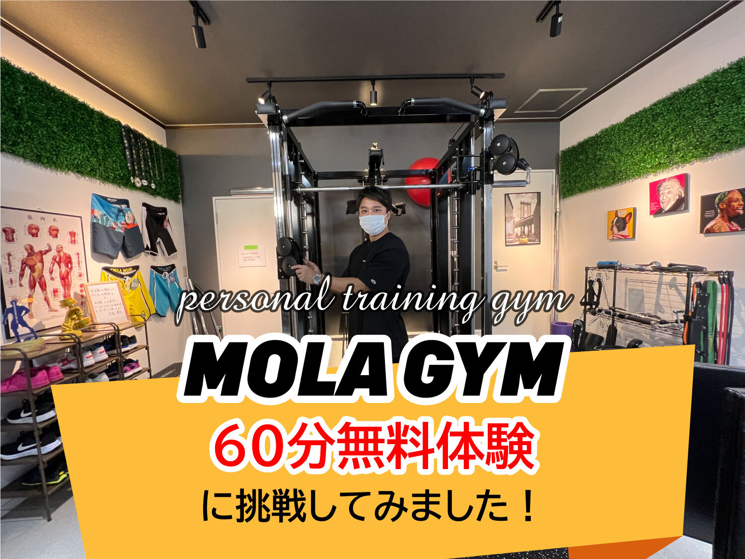 パーソナルトレーニングジム「MOLA GYM」の無料体験をやてみました！