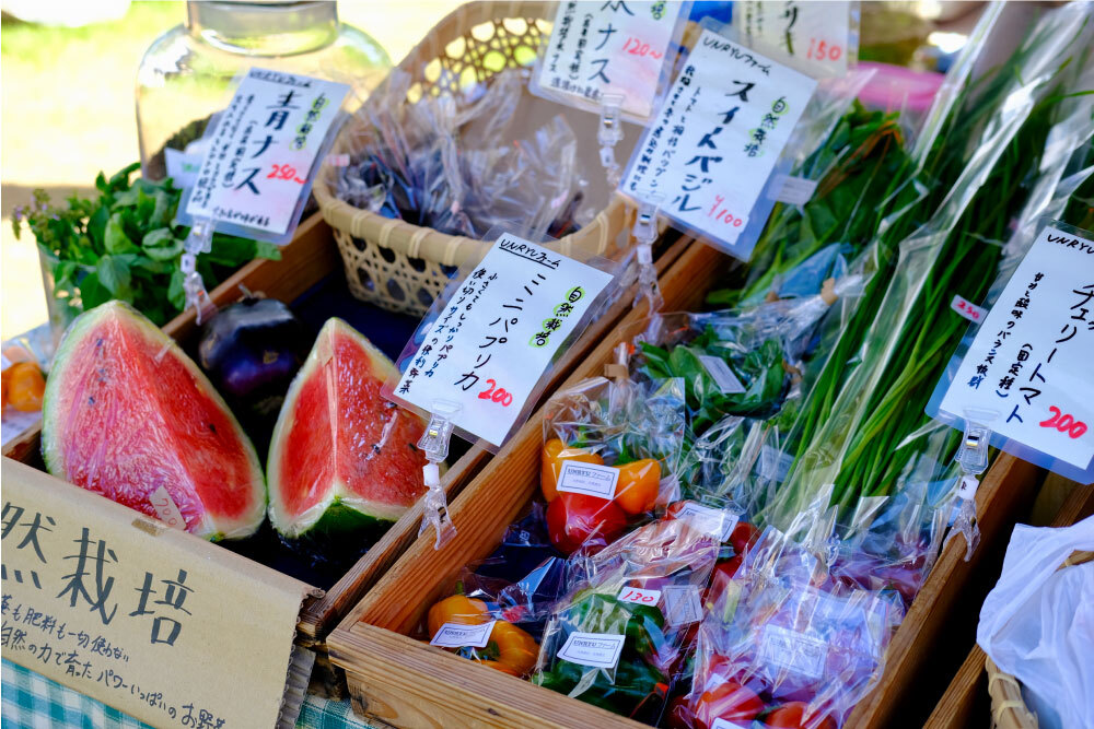 四季の里フェス”THE FOUR”