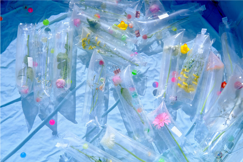 四季の里フェス”THE FOUR”