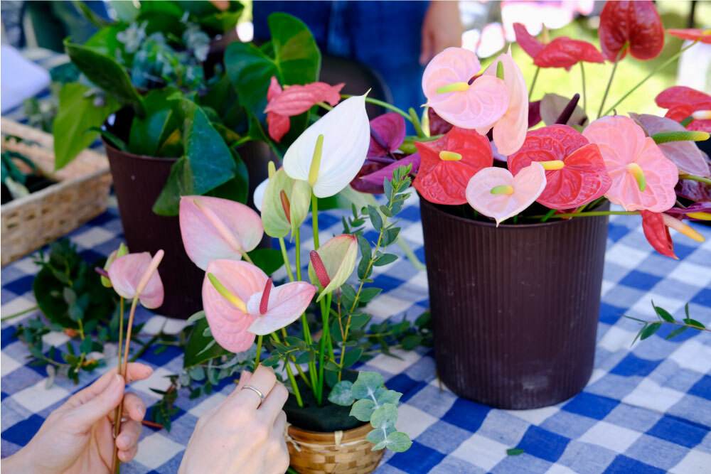 四季の里フェス”THE FOUR”