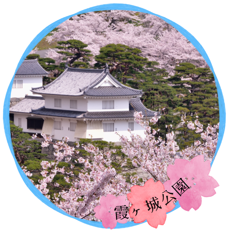 福島県北のお花見情報 福島市 二本松市 伊達市 伊達郡