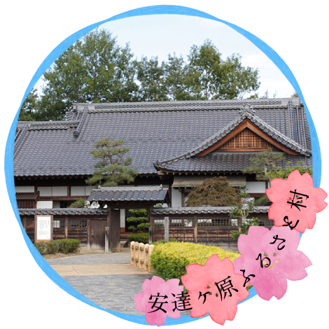 福島県北のお花見情報 福島市 二本松市 伊達市 伊達郡